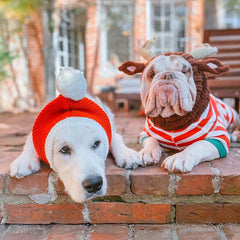 Santa Zoo Snood
