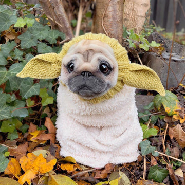 Dog wearing Baby Alien dog snood