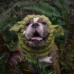 Dog wearing Baby Alien dog snood