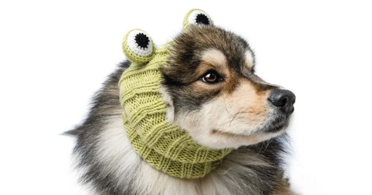 Frog Zoo Snood - The Viral Cute Crochet Dog Snood Costume to Keep