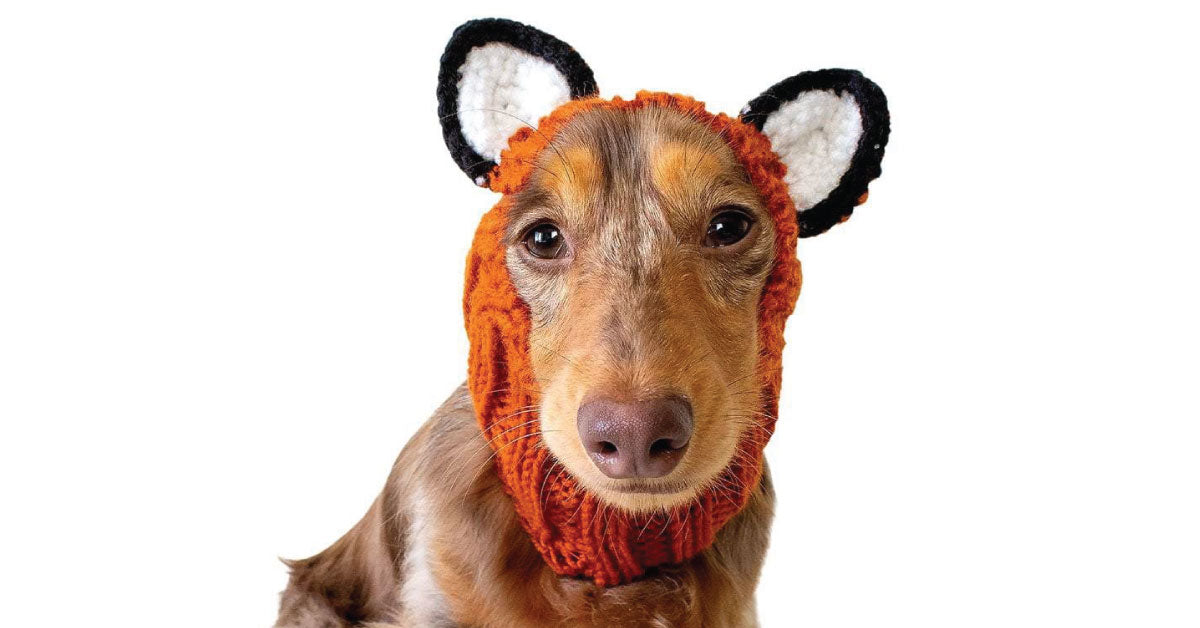 Fox Zoo Snood - The Viral Cute Crochet Dog Snood Costume to