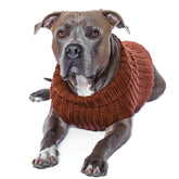 Dog Costume Brown Zoo Sweater