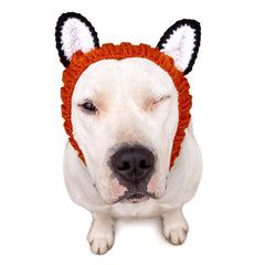 Dog Costume Fox Zoo Snood Pitbull with one eye close