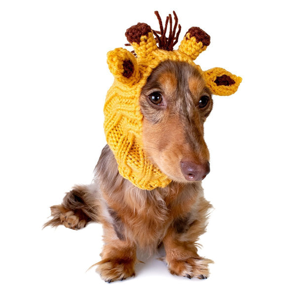 Rooster Snood - The Perfect Dog Snood for Small, Medium and Large Dogs –  Zoo Snoods