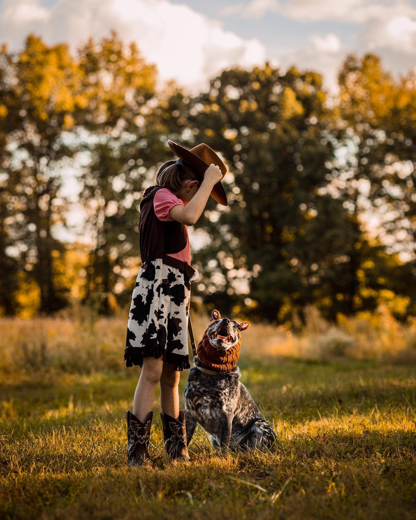 How Assistance Dogs For Helping Disabilities and Enhancing Mental Health