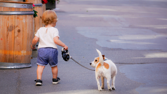 Where Can I Holiday Shop with my Dog? Dog-Friendly Stores in 2022