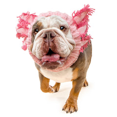 Axolotl Zoo Snood