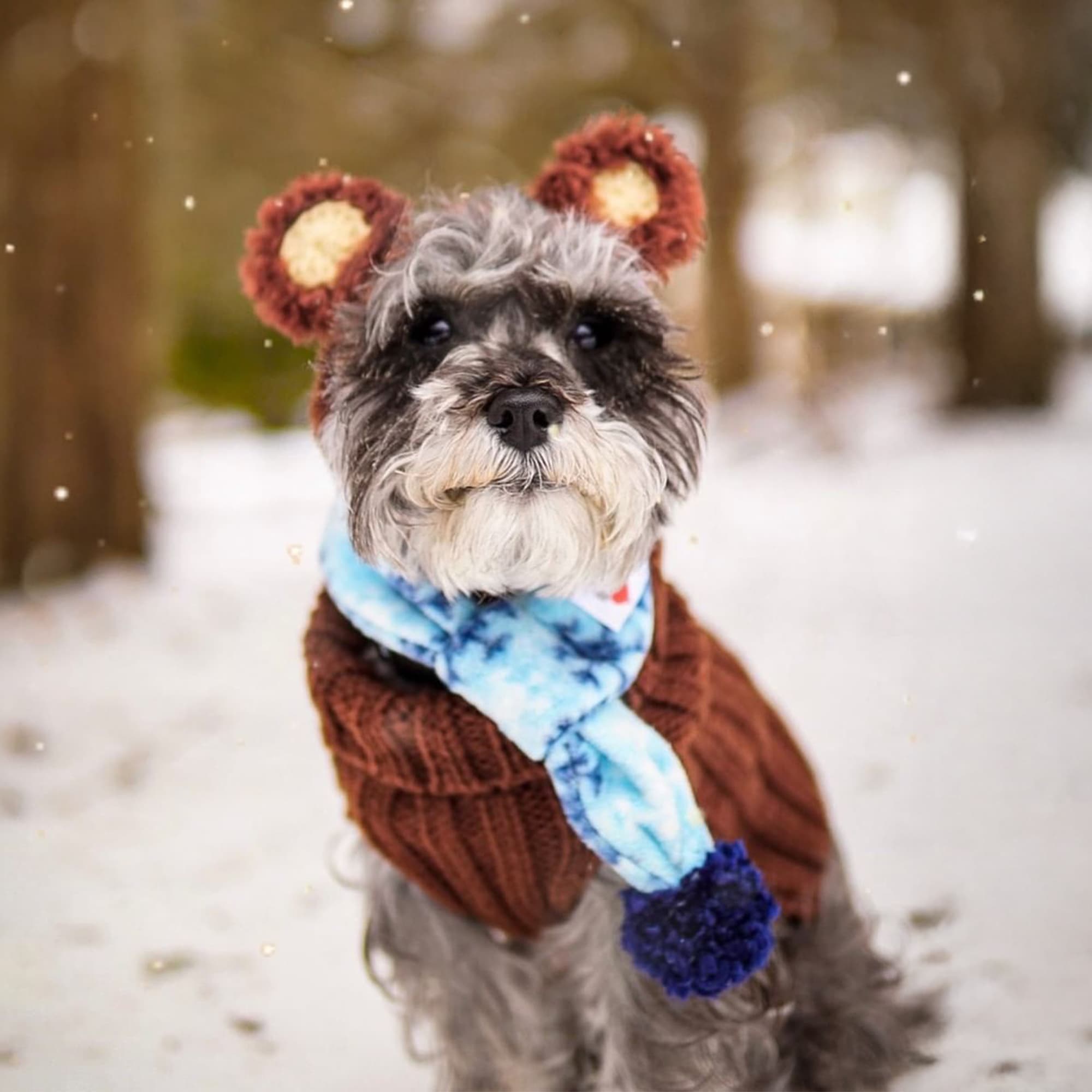 Fuzzy Zoo Bear Snood - The Viral Cute Crochet Dog Snood Costume to