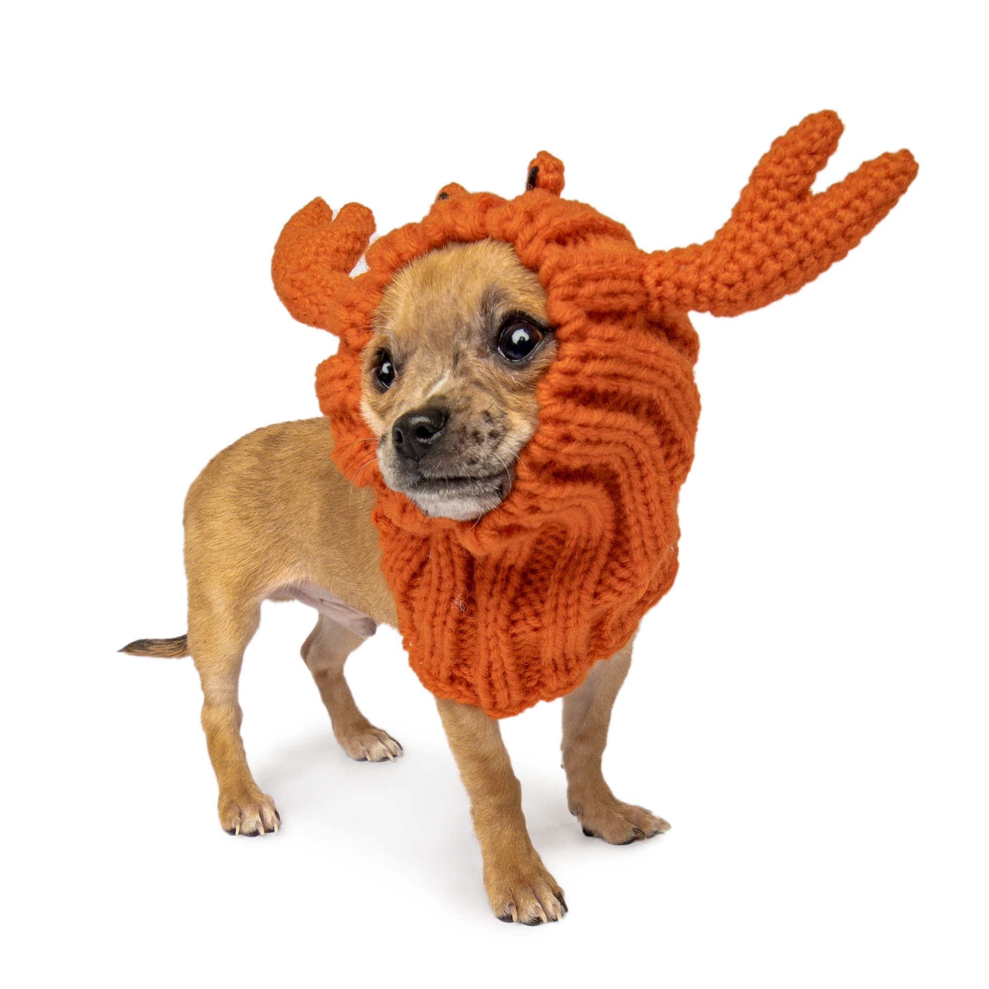 Crab Zoo Snood - The Viral Cute Crochet Dog Snood Costume to Keep