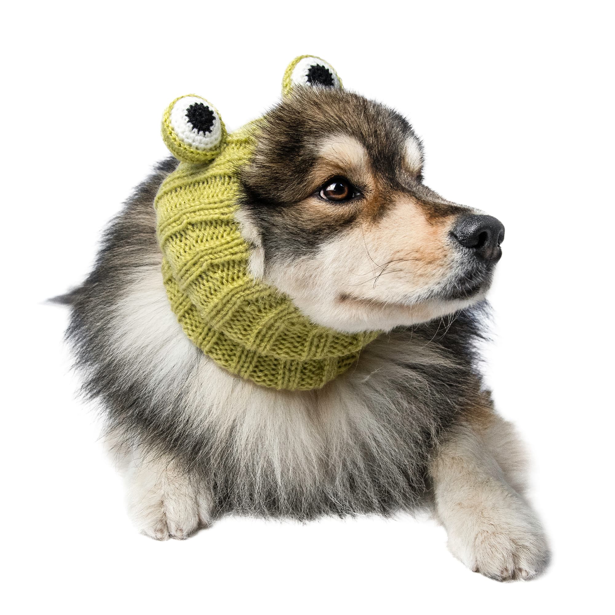 Frog Zoo Snood - The Viral Cute Crochet Dog Snood Costume to Keep
