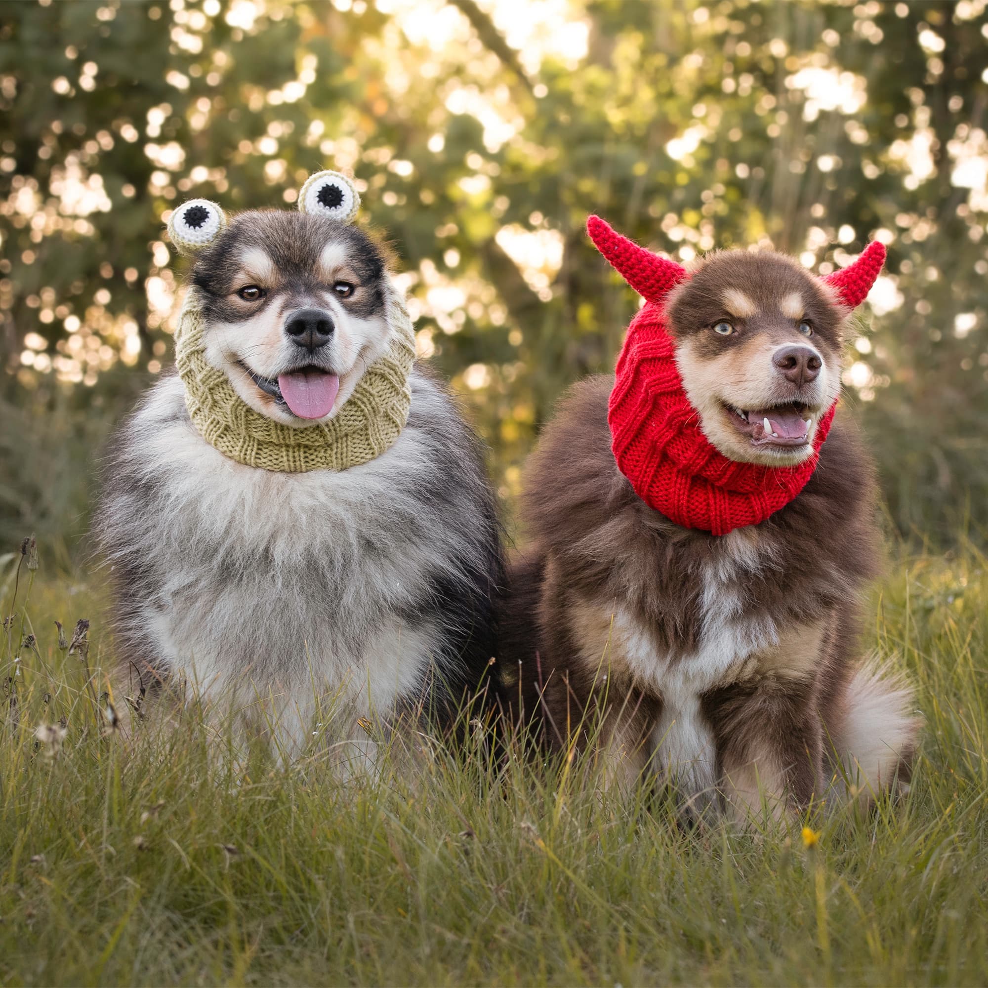 Frog Zoo Snood - The Viral Cute Crochet Dog Snood Costume to Keep
