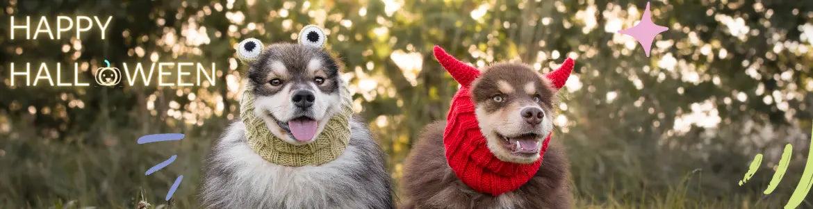 Halloween 2025 dog sweaters