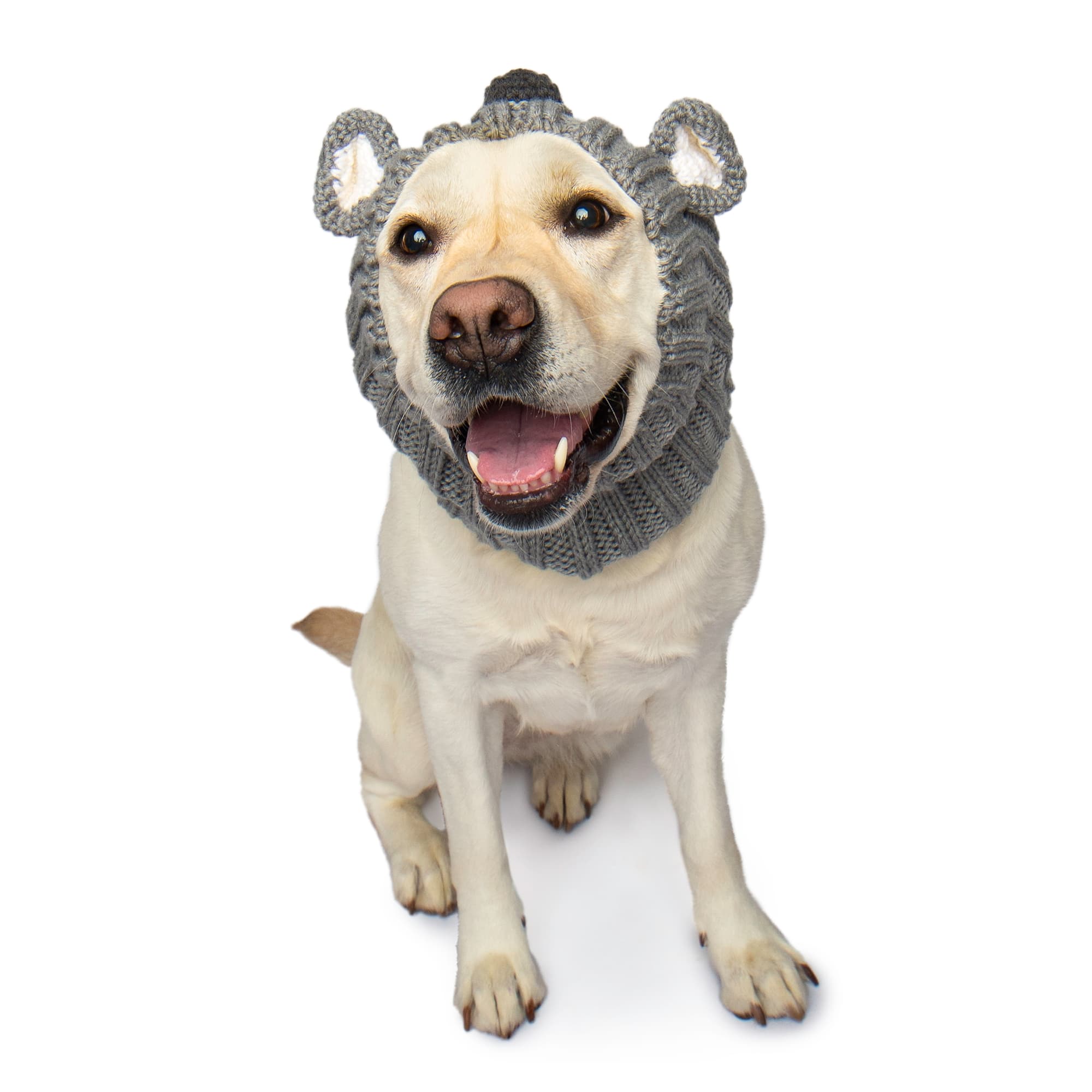 Koala Zoo Snood - The Viral Cute Crochet Dog Snood Costume to Keep
