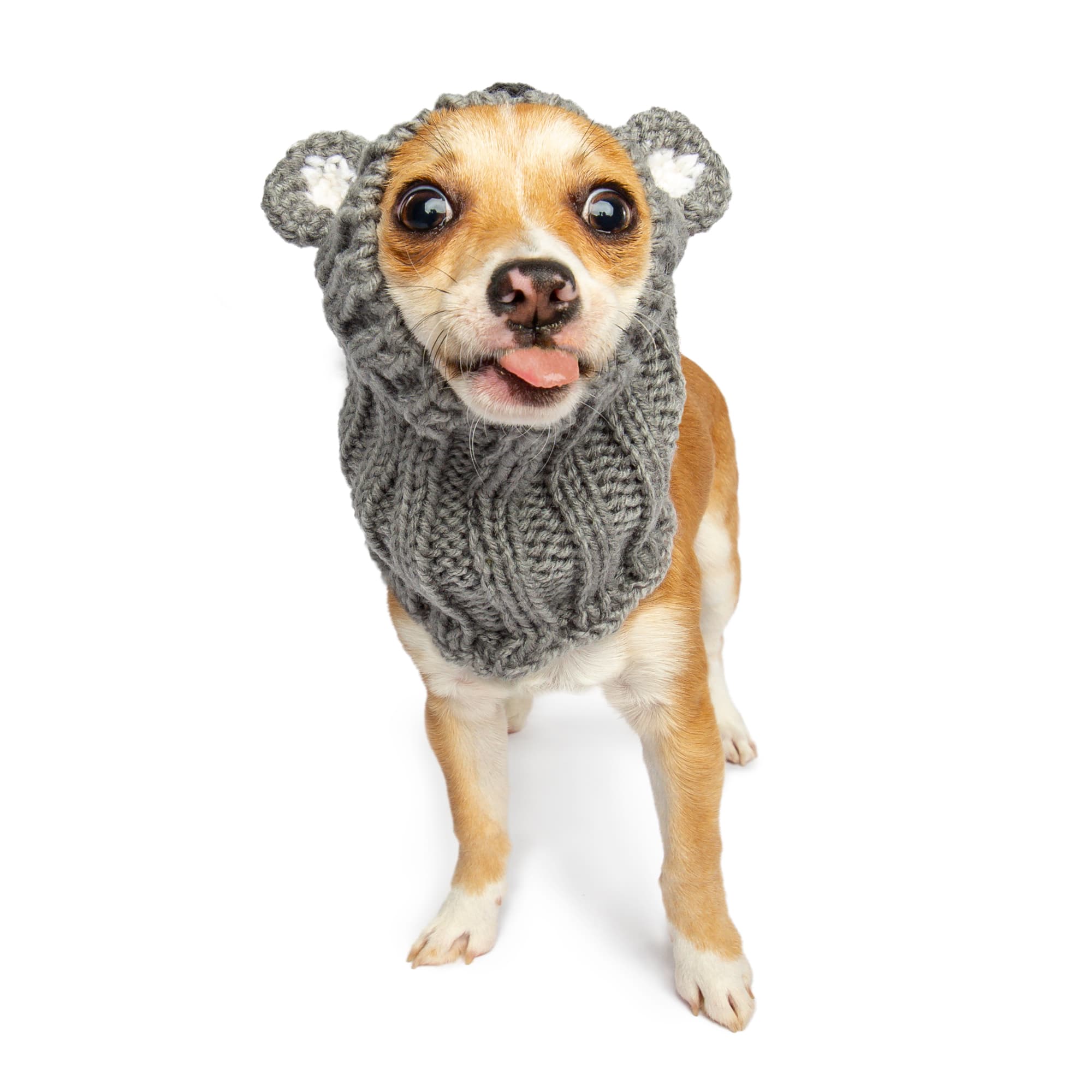 Koala Zoo Snood - The Viral Cute Crochet Dog Snood Costume to Keep