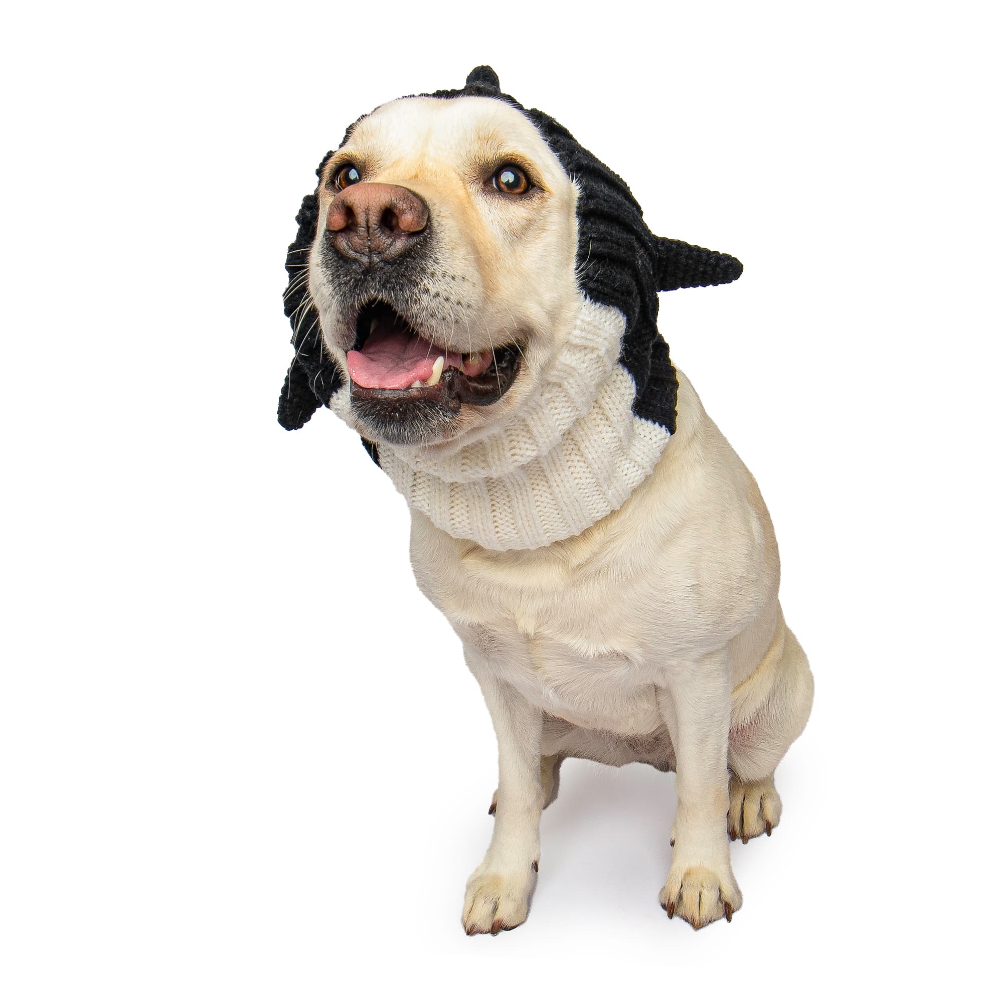 Orca Zoo Snood - The Viral Cute Crochet Dog Snood Costume to Keep
