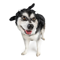 Orca Zoo Snood - The Viral Cute Crochet Dog Snood Costume to Keep