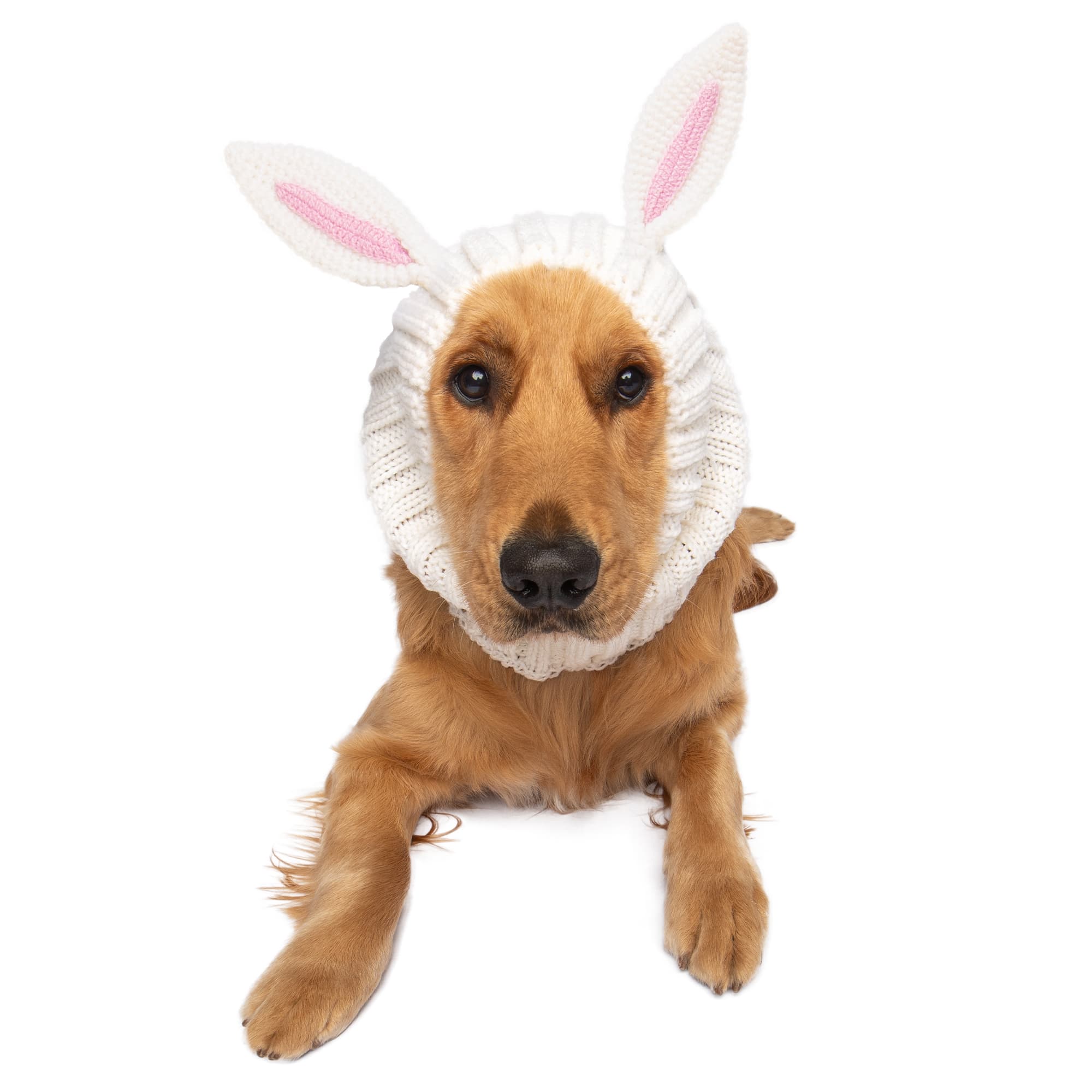 Bunny Rabbit Zoo Snood - The Viral Cute Crochet Dog Snood Costume