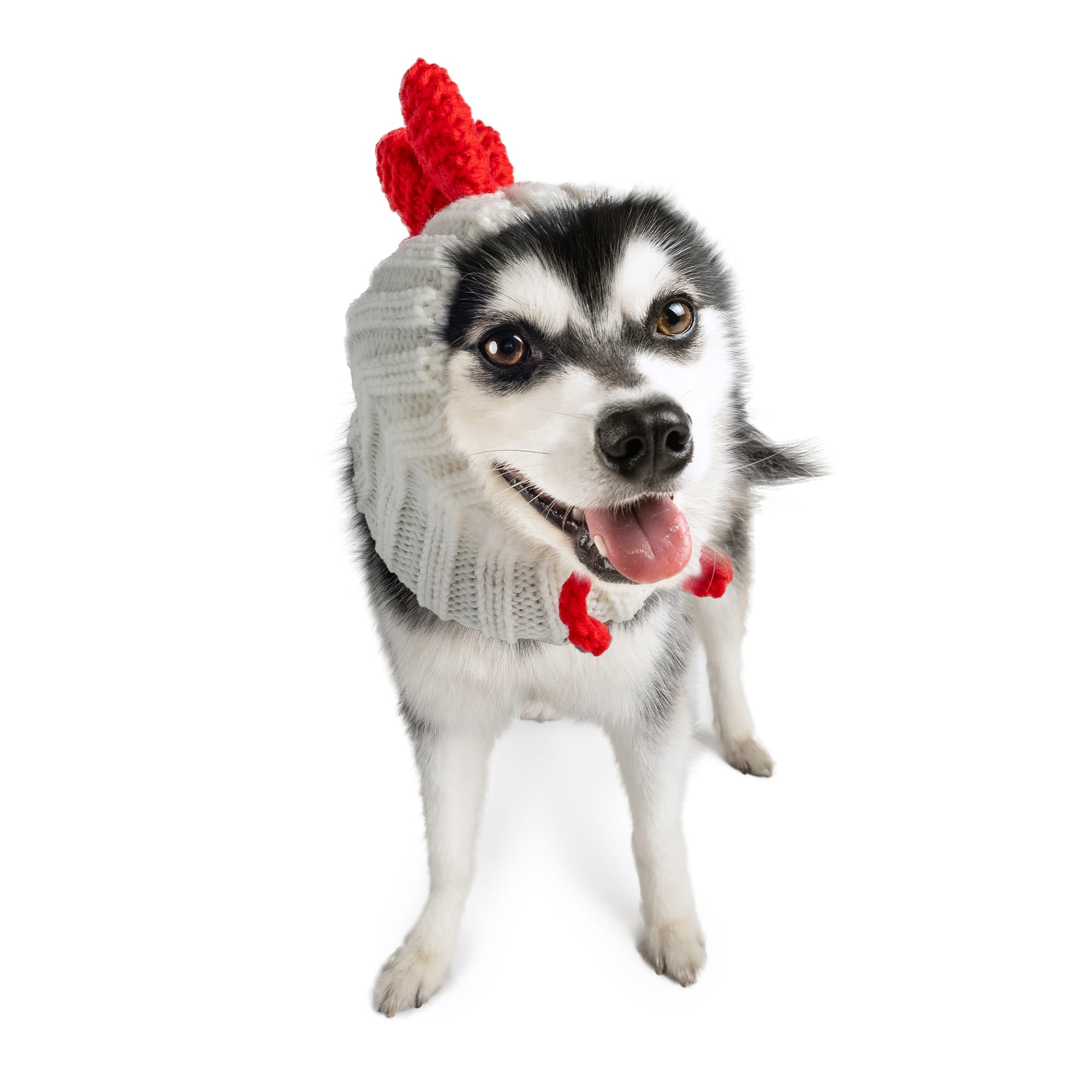 White Rooster Zoo Snood - The Viral Cute Crochet Dog Snood Costume