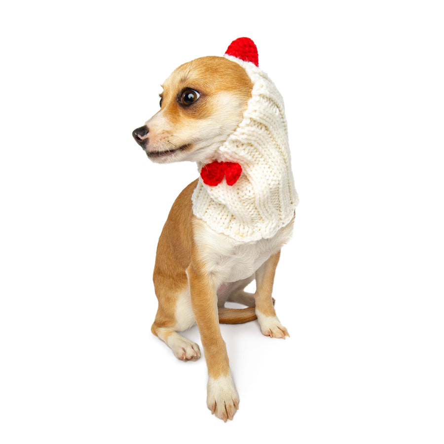 White Rooster dog snood, front view