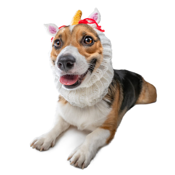 Unicorn Zoo Snood The Viral Cute Crochet Dog Snood Costume to