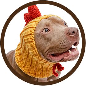 Dex