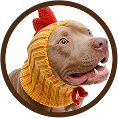 Dex
