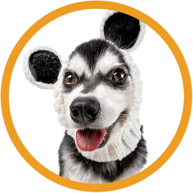 Rayleigh