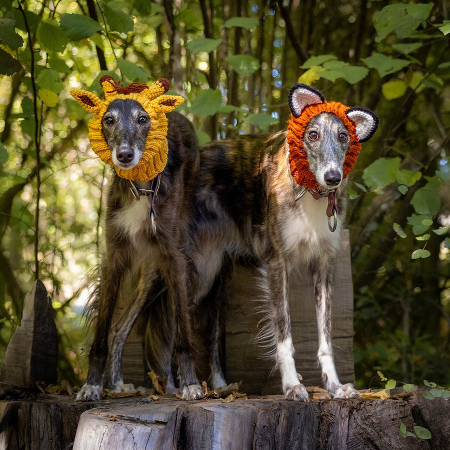 @silkyadventurepups