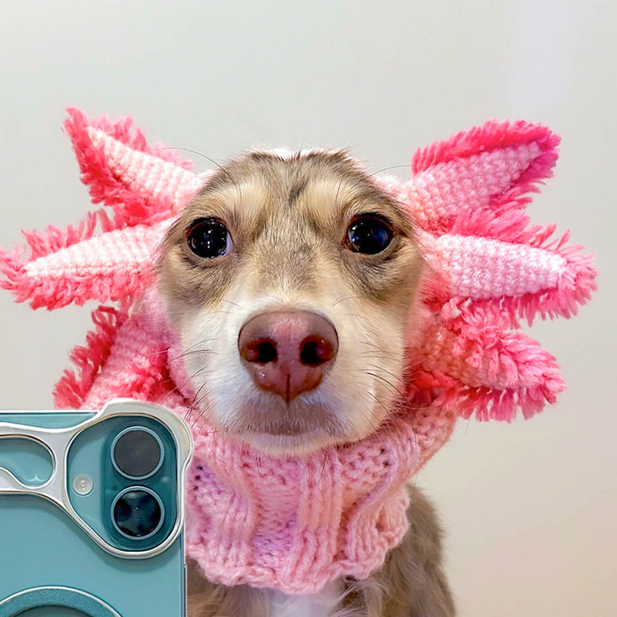 @hautedogmina