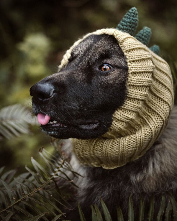 Dog wearing a Zoo Snood, size Large