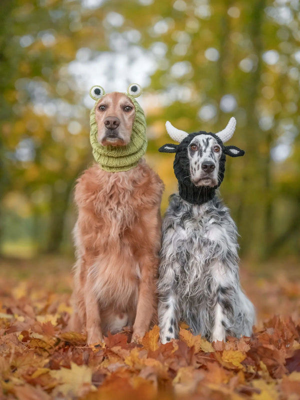 Dog wearing a Zoo Snood, size Large