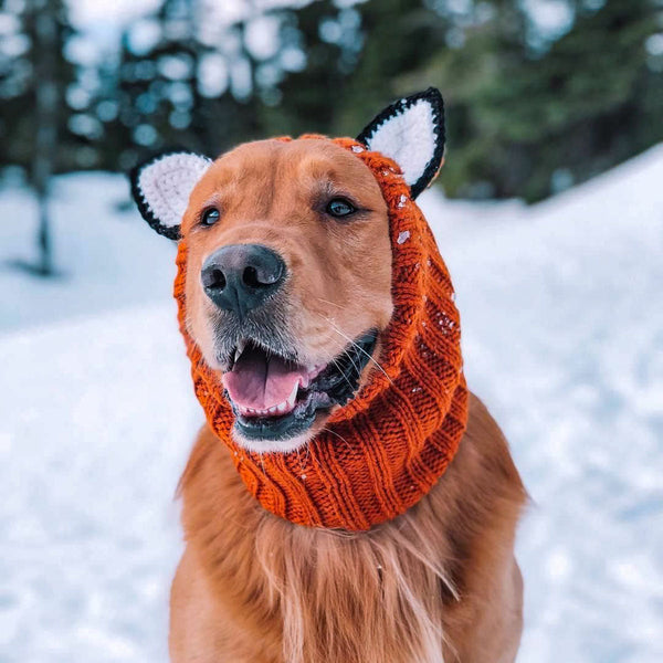 Dog wearing a Zoo Snood, size Large