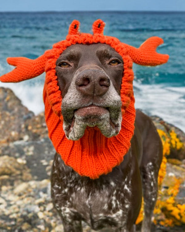 Dog wearing a Zoo Snood, size Large