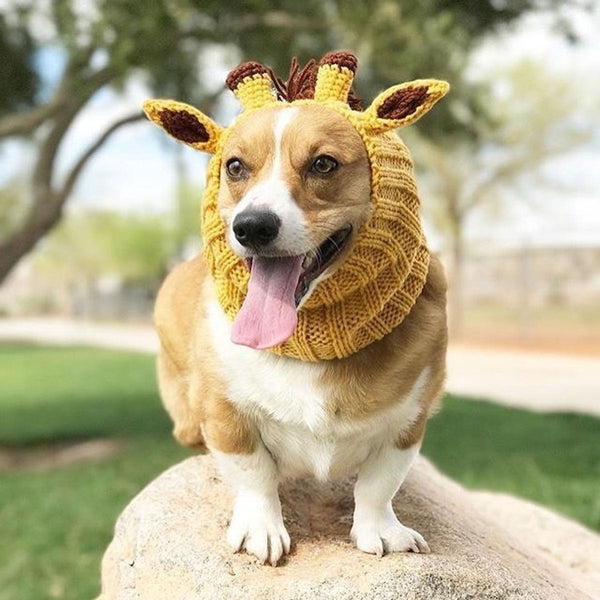 Dog wearing a Zoo Snood, size Medium