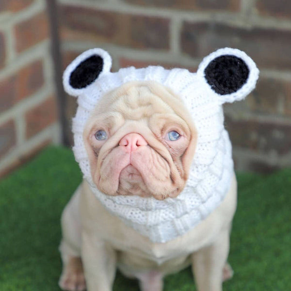 Dog wearing a Zoo Snood, size Medium