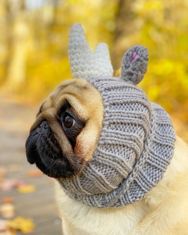Dog wearing a Zoo Snood, size Medium
