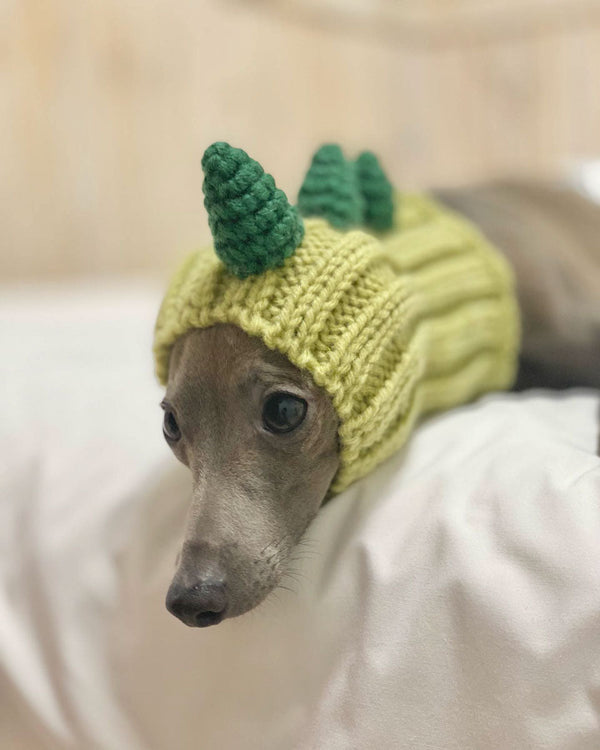 Dog wearing a Zoo Snood, size Small