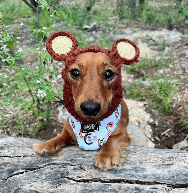 Dog wearing a Zoo Snood, size Small
