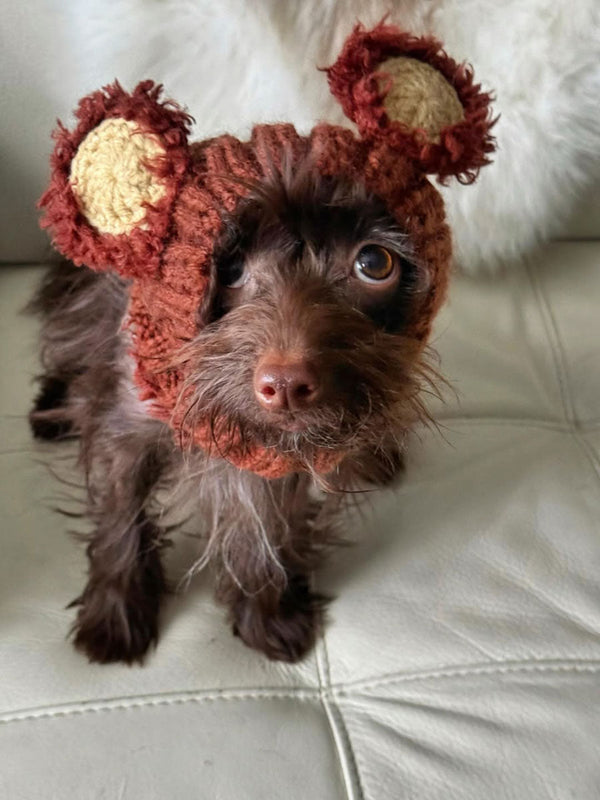 Dog wearing a Zoo Snood, size Small