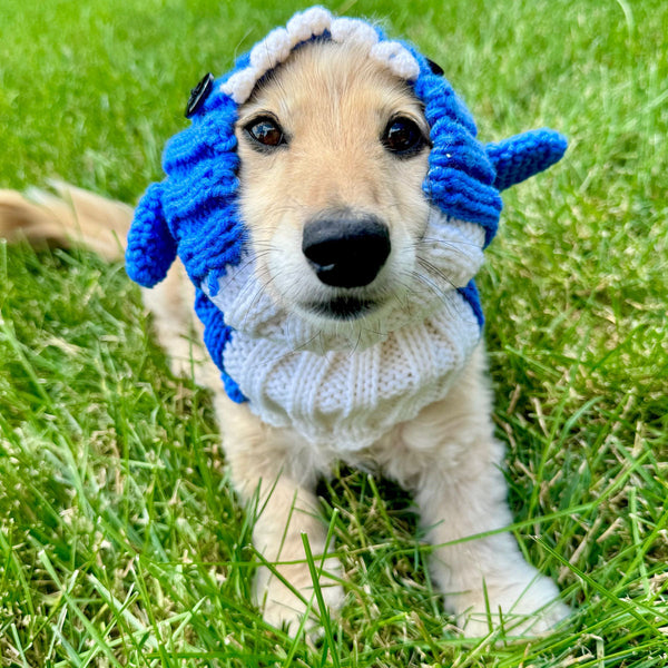 Dog wearing a Zoo Snood, size Small
