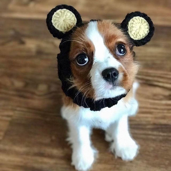 Dog wearing a Zoo Snood, size Small