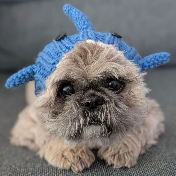 Dog wearing a Zoo Snood, size Small