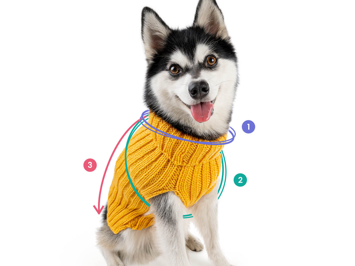 Husky in the yellow Zoo Sweater with the neck, chest and length marked