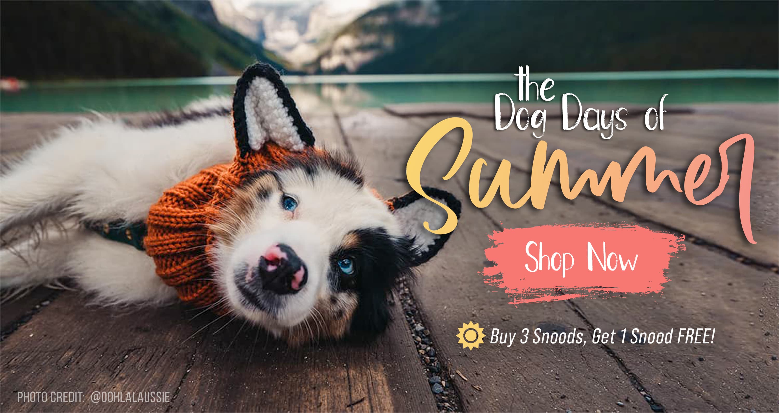 Knit Dog Snoods, Hats, Sweaters & Costumes | Zoo Snoods