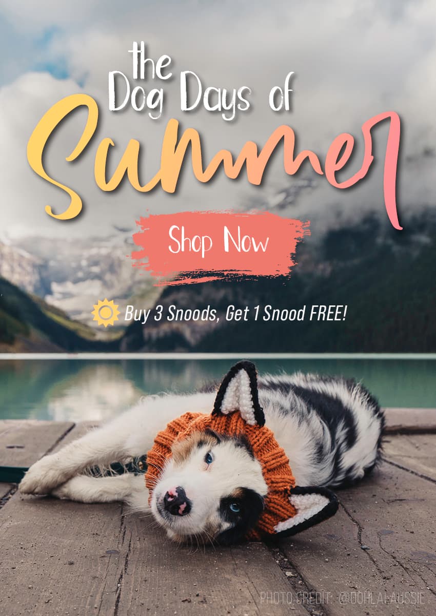 Knit Dog Snoods, Hats, Sweaters & Costumes | Zoo Snoods