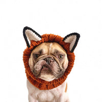 @pardonmy2frenchies