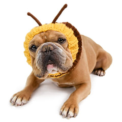 Bulldog with Bumble Bee Zoo Snood