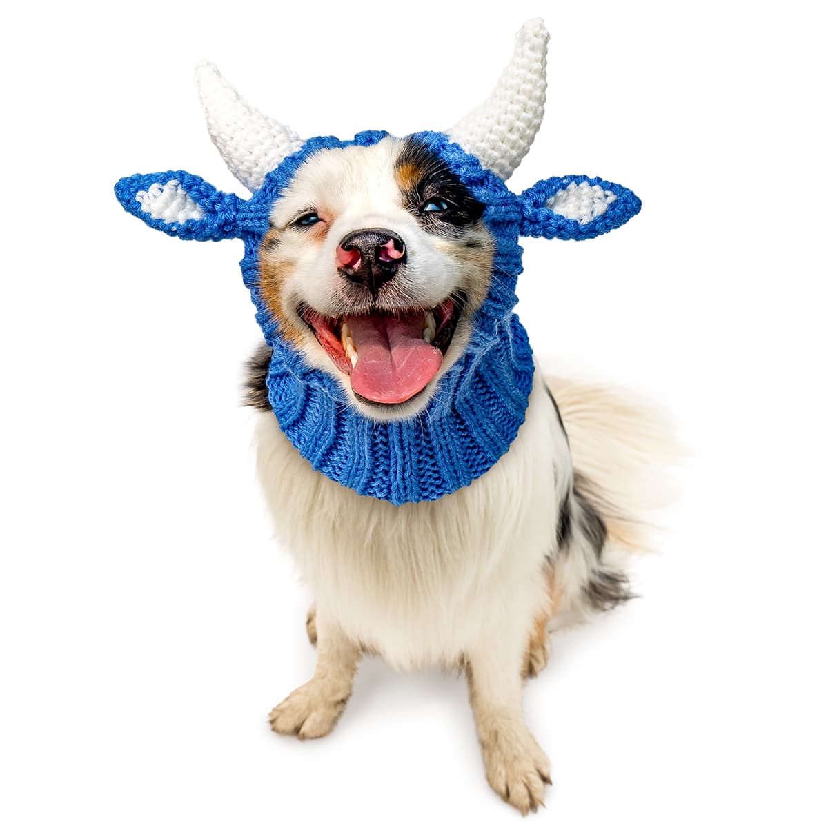 dog costume Blue Ox Zoo Snood