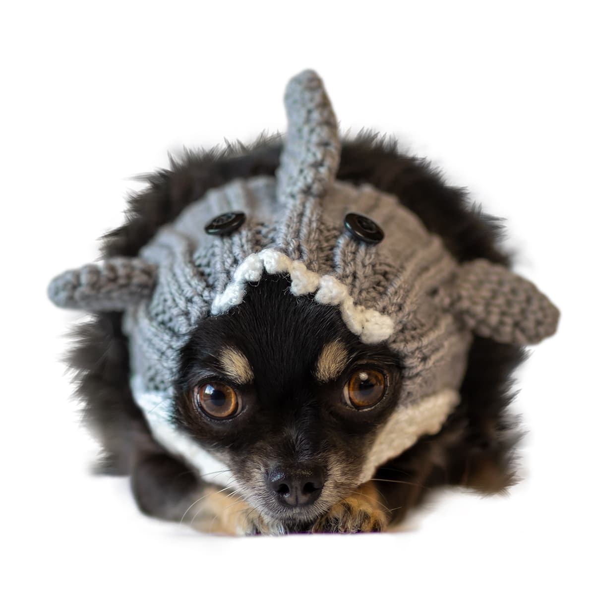 Great White Shark Zoo Snood Front facing