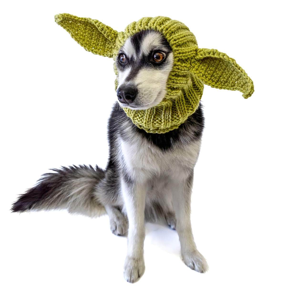 Baby Alien Snood - The Perfect Dog Snood for Small, Medium and